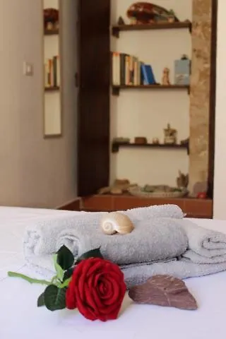 דירות אלגהרו Minerva'S House