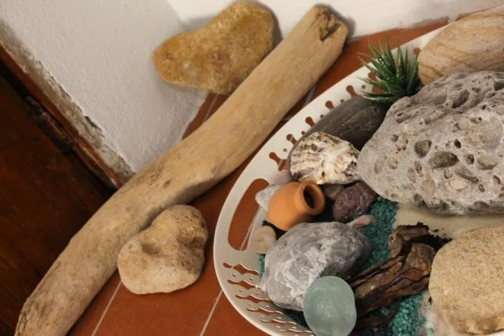 Minerva'S House Apartment Alghero Italy